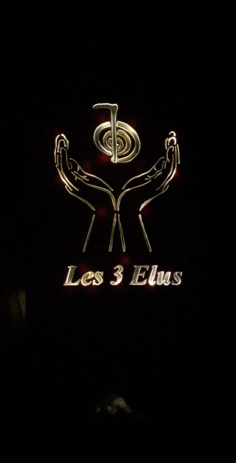 Les 3 élus