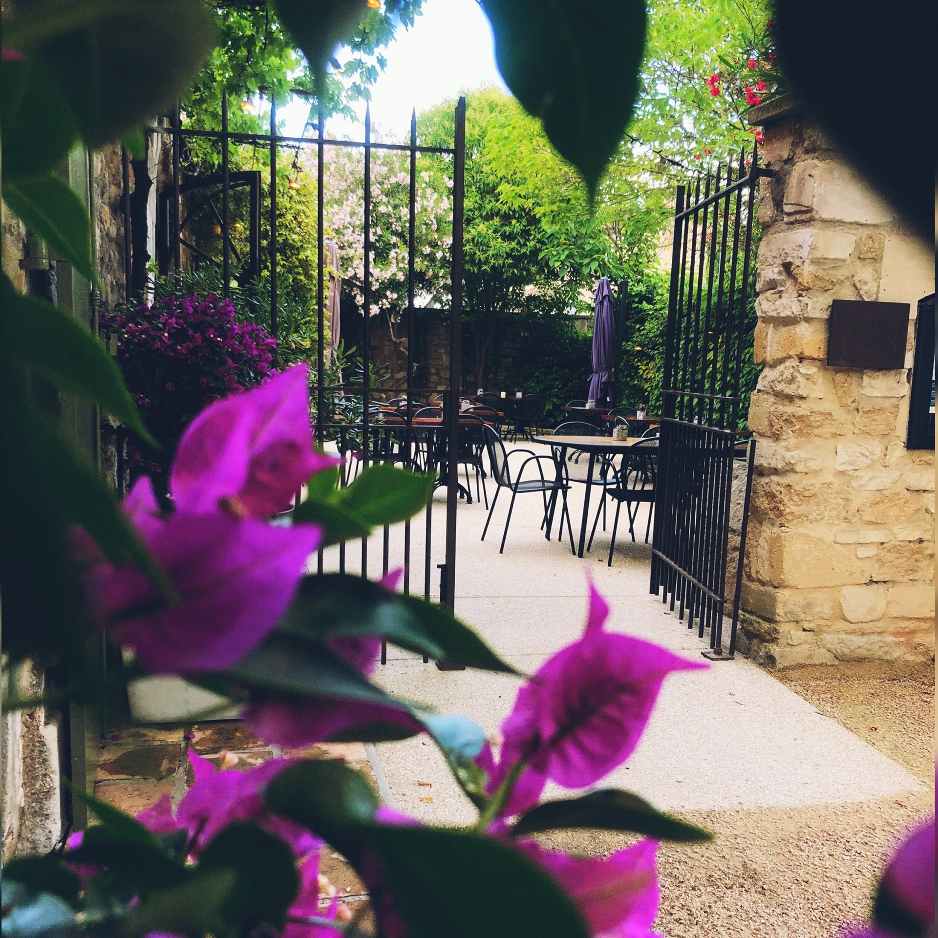 Restaurant Bec, Paradou - photo 6