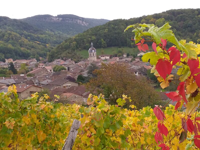 Caveau Tissot Thierry à Vaux en Bugey