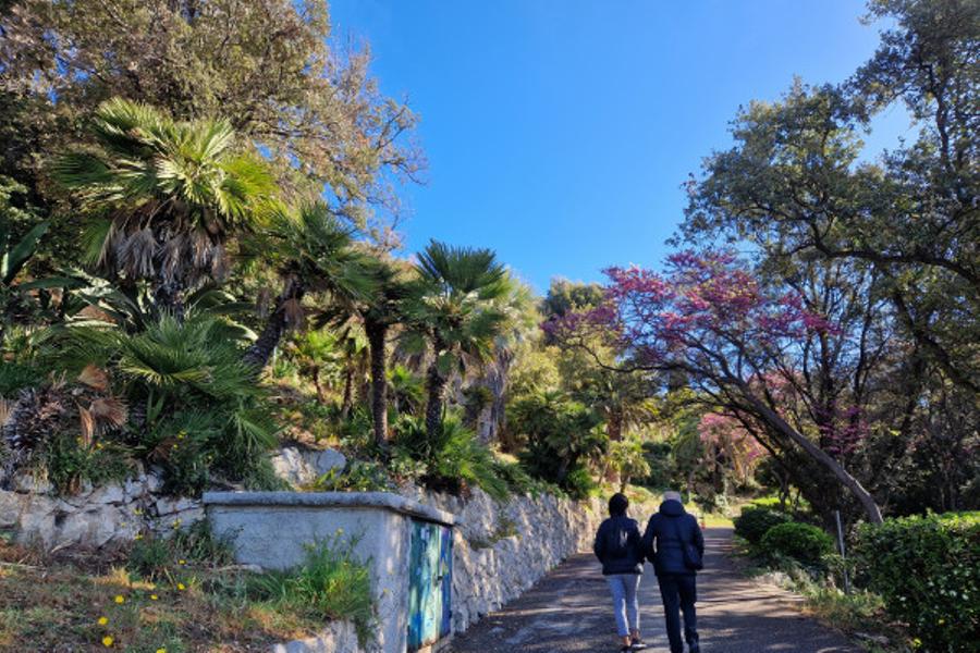 Malmousque, et petits ports de la Corniche