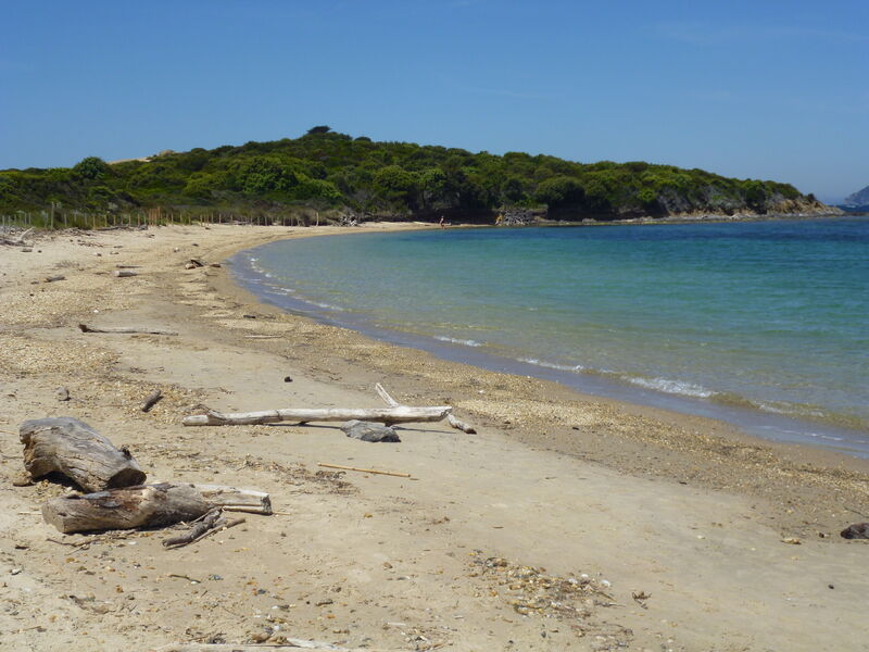 La plage du Langoustier à Porquerolles