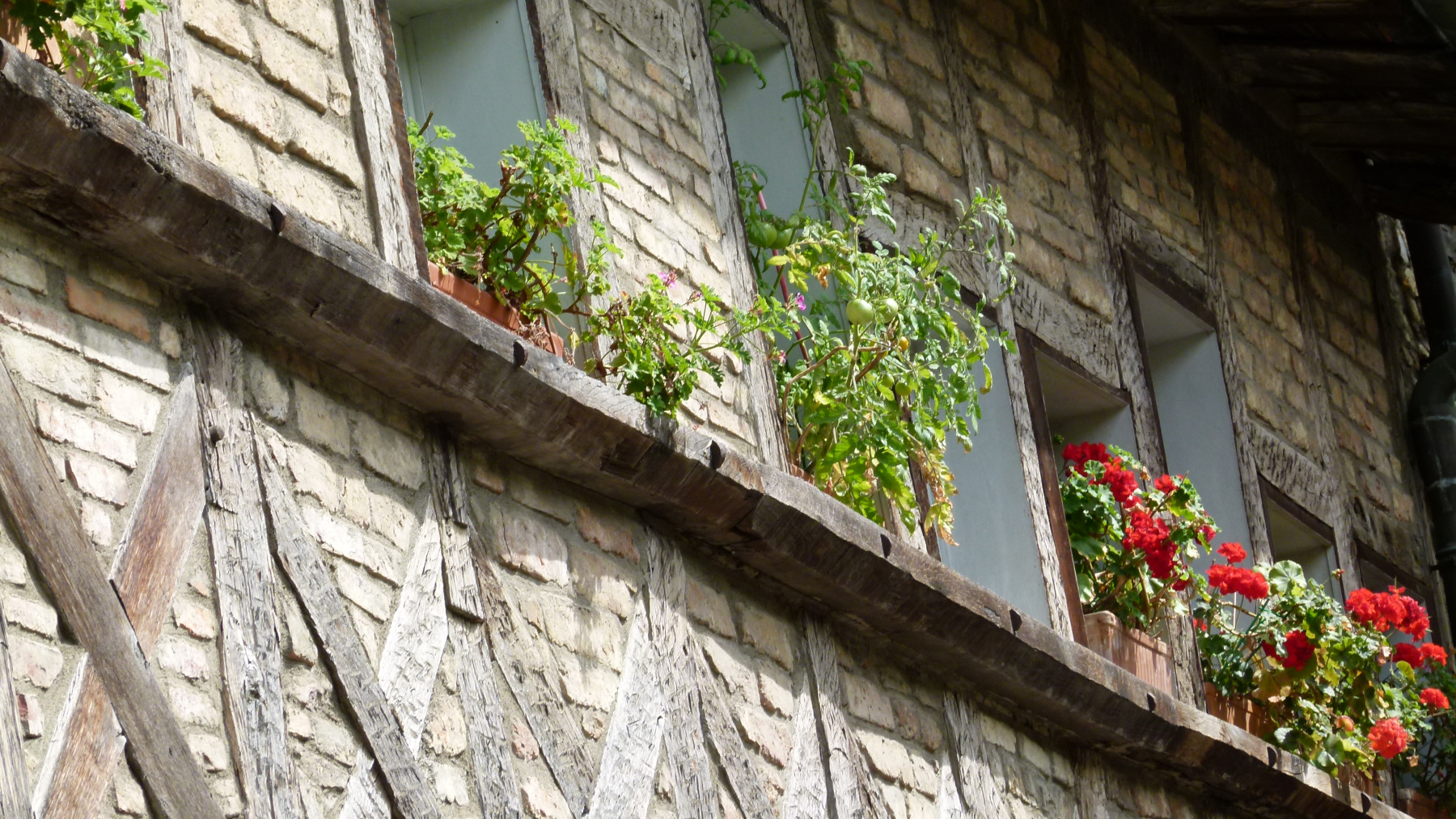 Maison de Bois