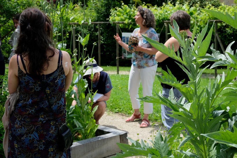 Visite dans le jardin