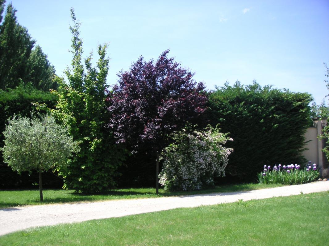 Le Midi, Mollégès - photo 9