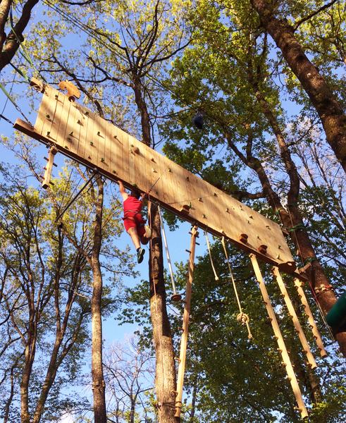 Accrobranche pour experts