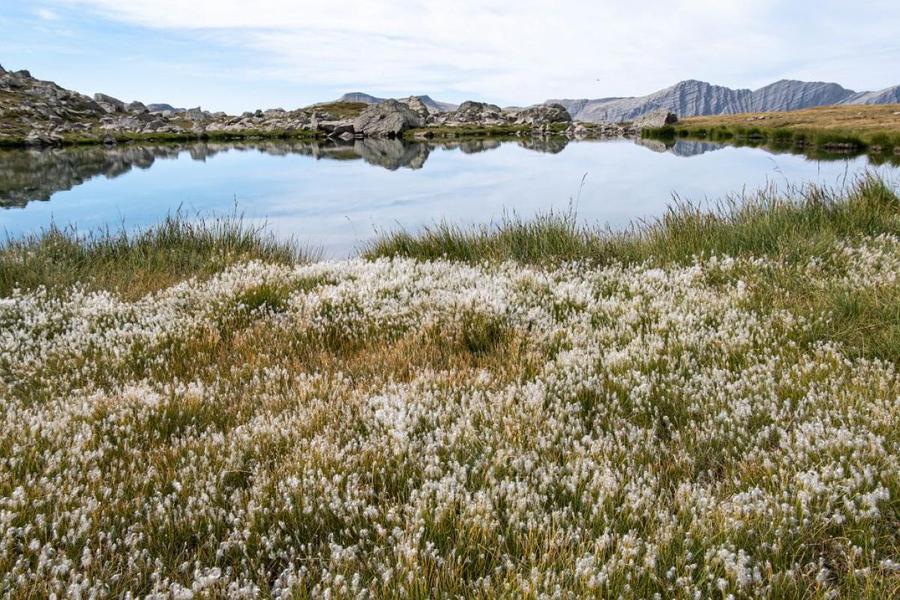 - © Parc national des Ecrins - © Parc national des Ecrins