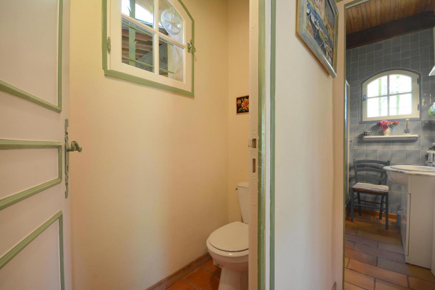 Hémérocalles, Vauvenargues - photo 16