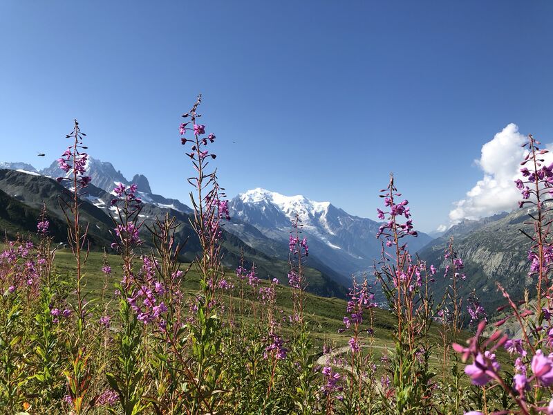 le-tour-charamillon-balme-6