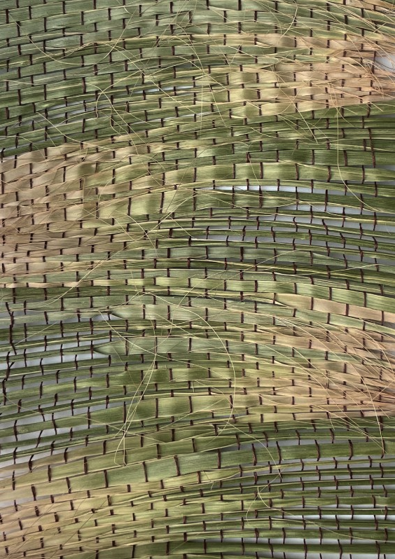 Design des territoires