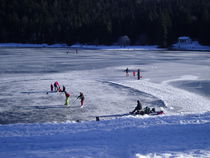 lac Genin gelé