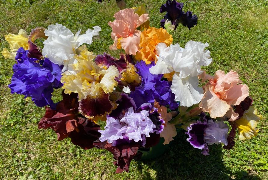 Bouquet