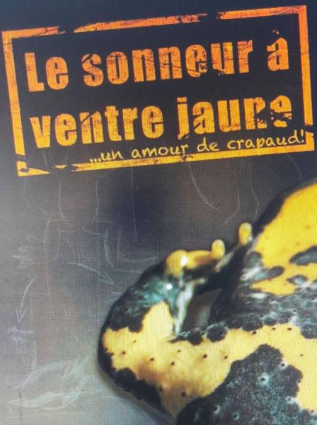 Exposition : Le sonneur à ventre jaune... Un amour de crapaud !