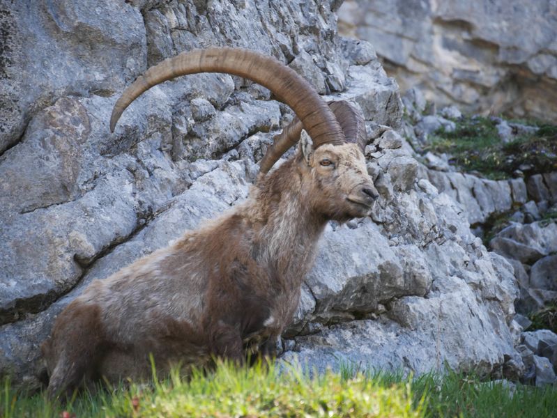 Evolution2-Chamonix-Hiking
