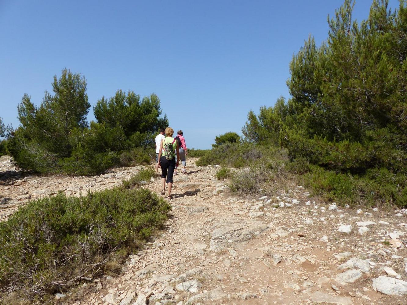 Le Margouillat, Carry-le-Rouet - photo 14