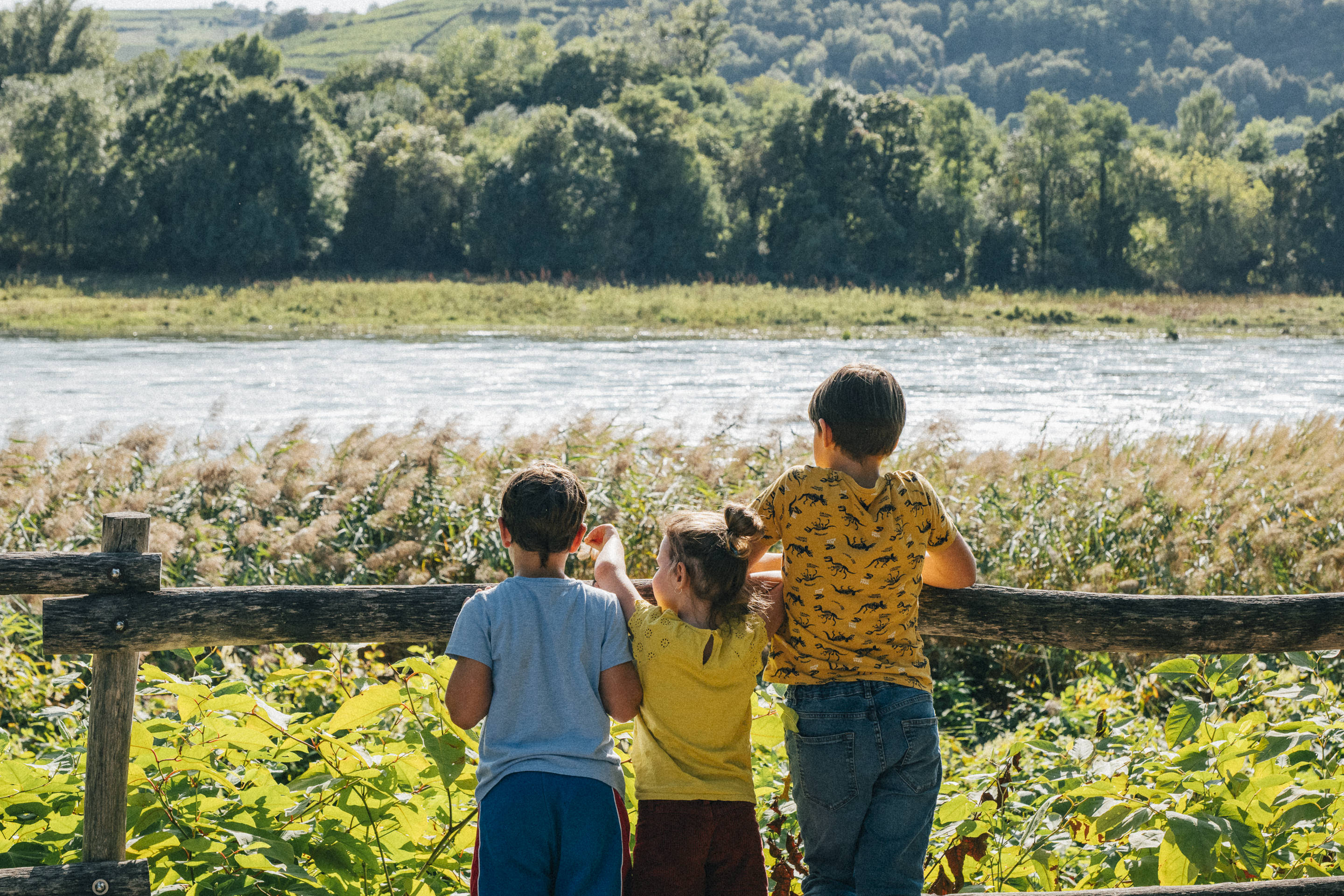 Espace Naturel Sensible du  Méandre des Oves_Le Péage-de-Roussillon
