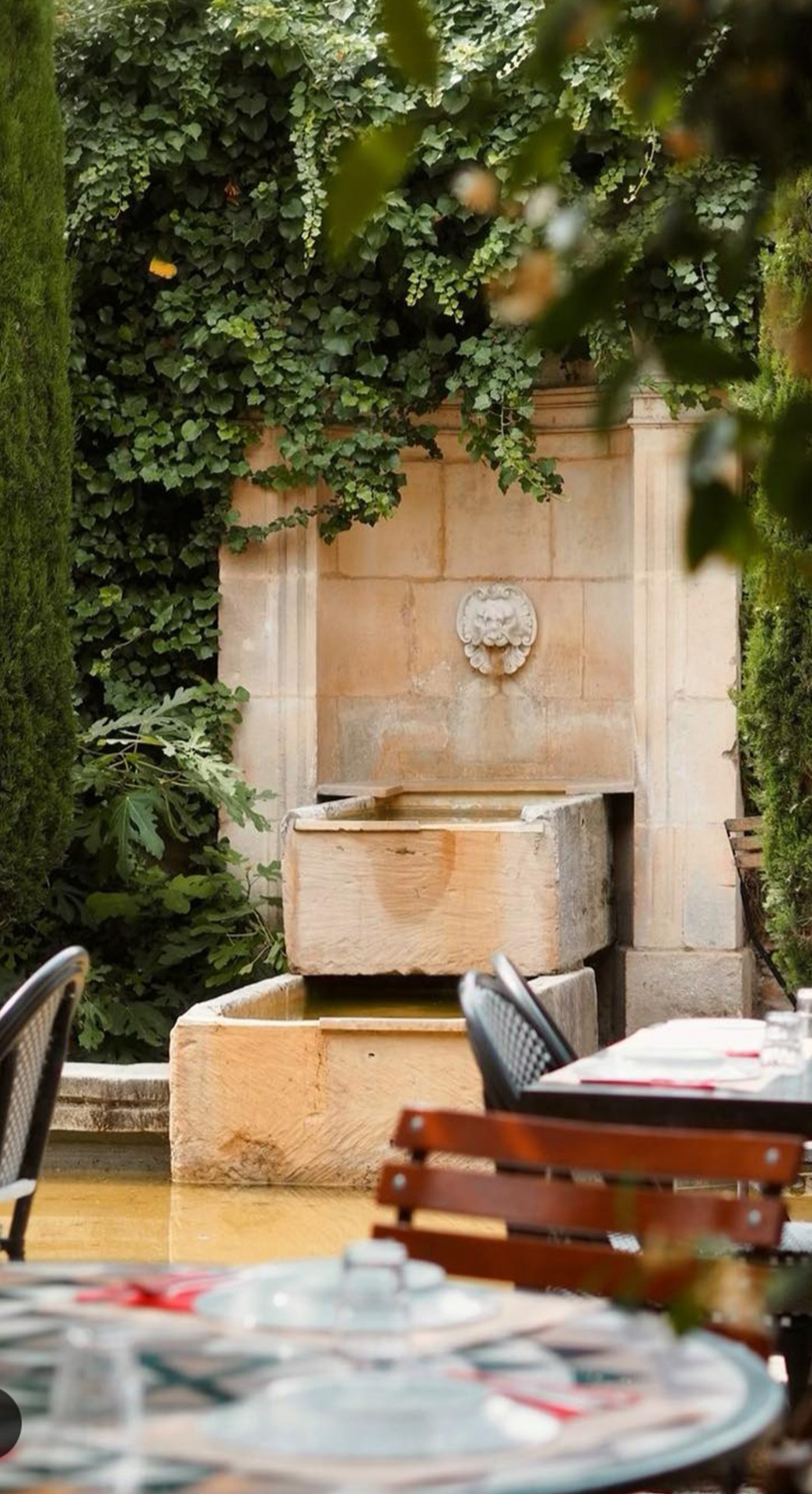 Maison Mistral, Bistrot les Pieds dans l'eau, Saint-Rémy-de-Provence - photo 11
