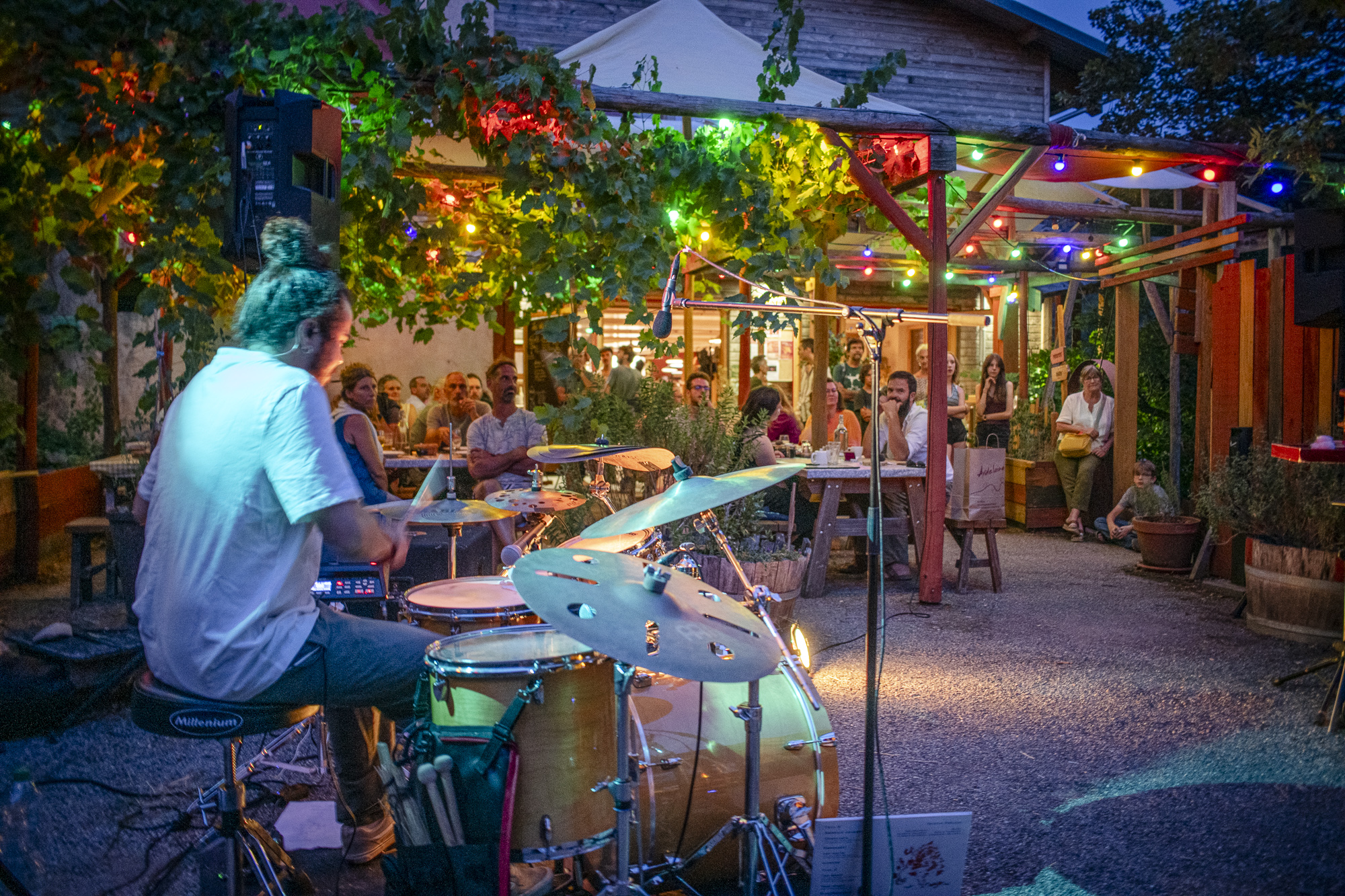 Repas-Concert au Restaurant d'Ardelaine