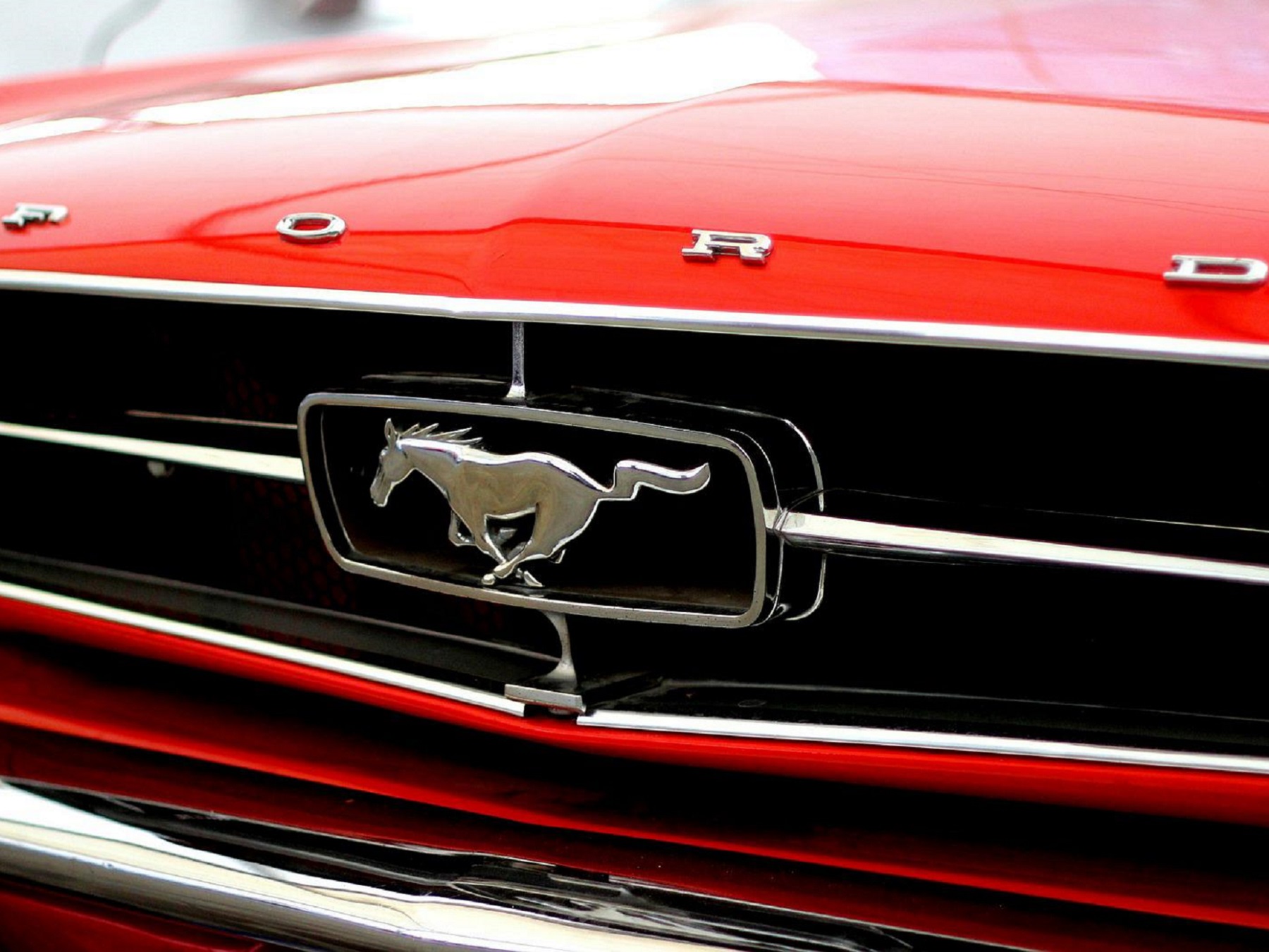 Galop de mustangs - Rassemblement de voitures anciennes