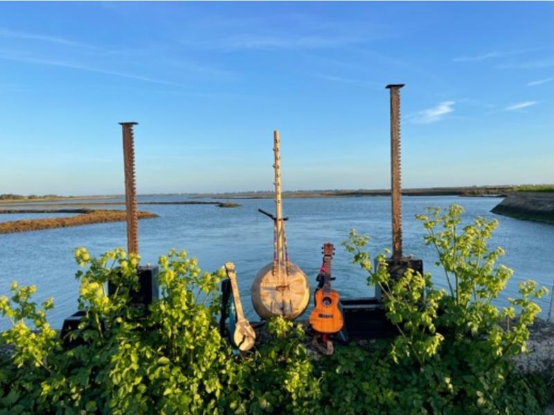 Sortie nature poétique et musicale "La voix du marais" avec Clémentine Mallein.