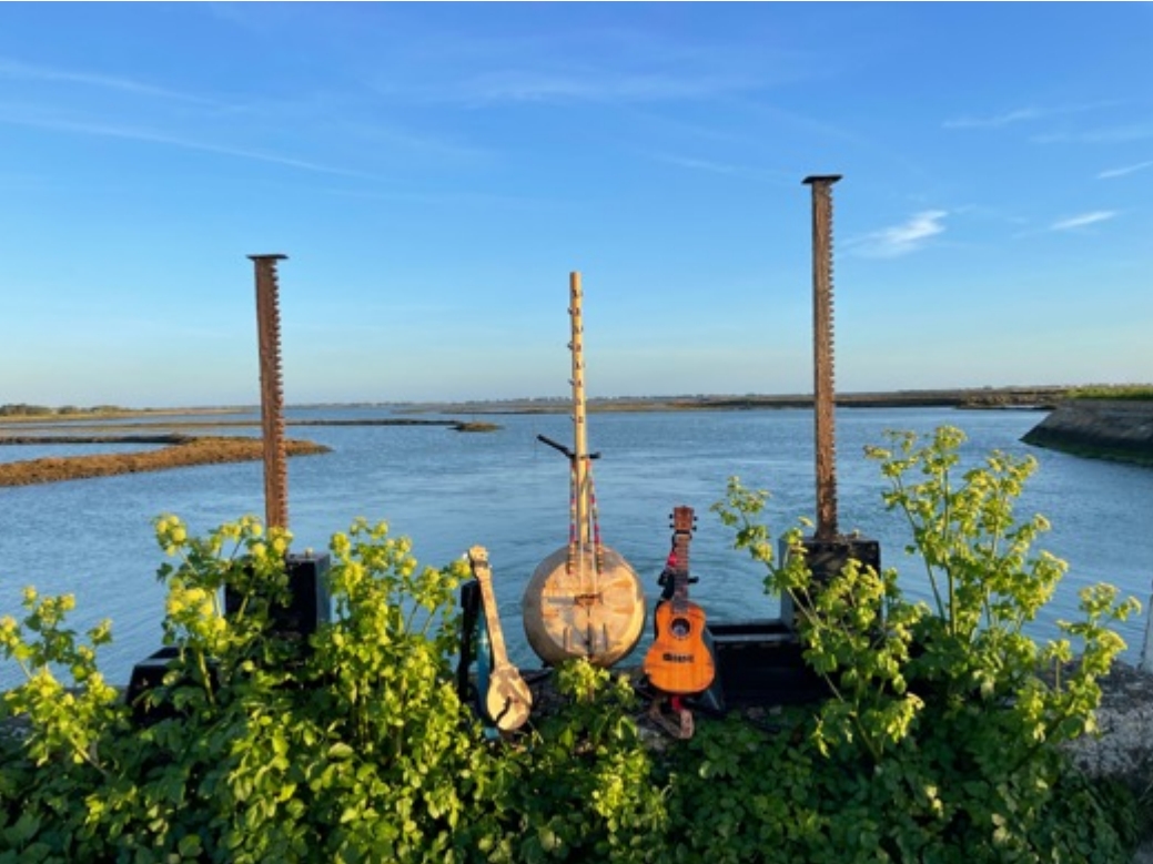Sortie nature poétique et musicale "La voix du marais" avec Clémentine Mallein.