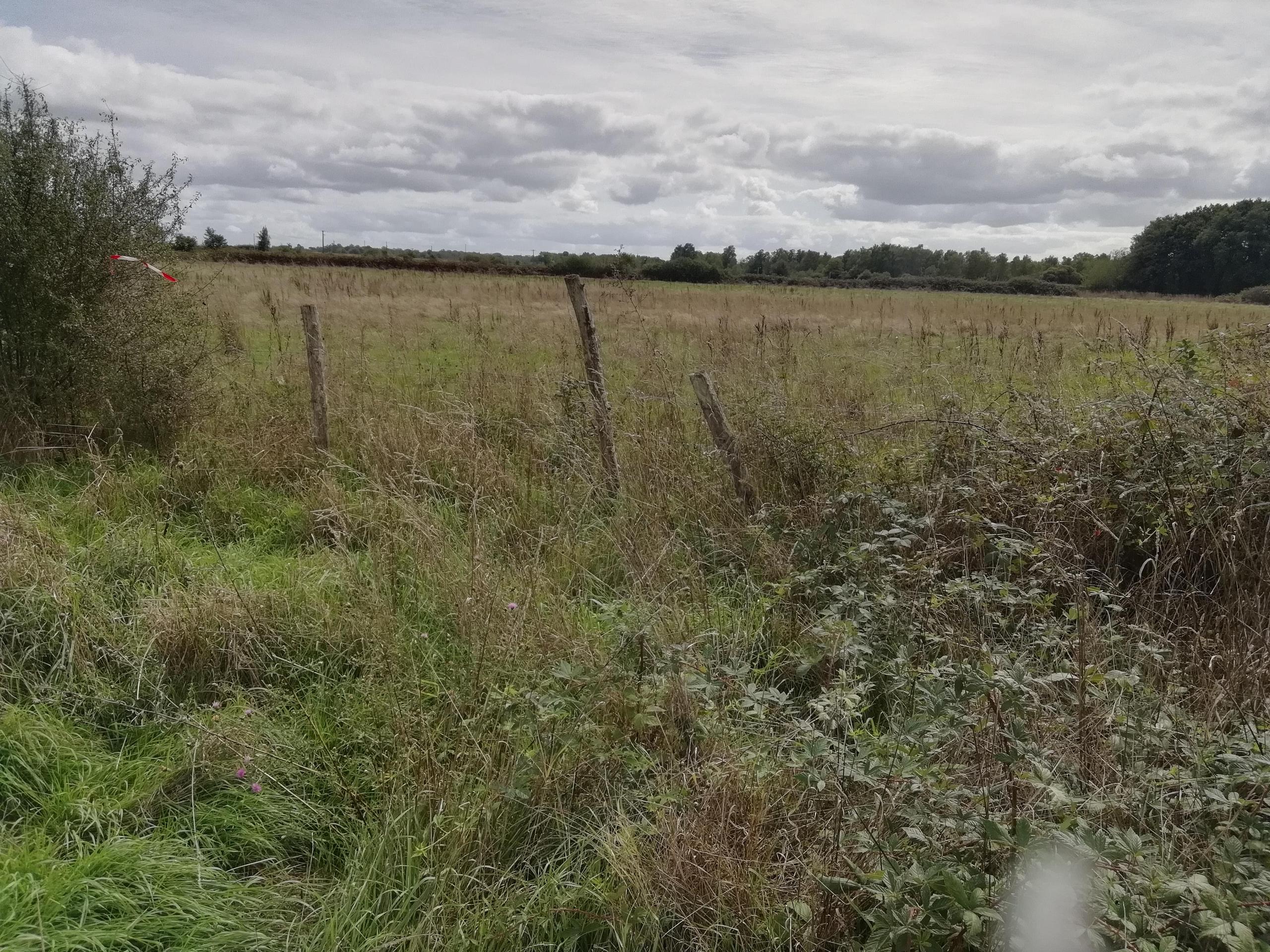 Chantier participatif autour des haies de Hiesse