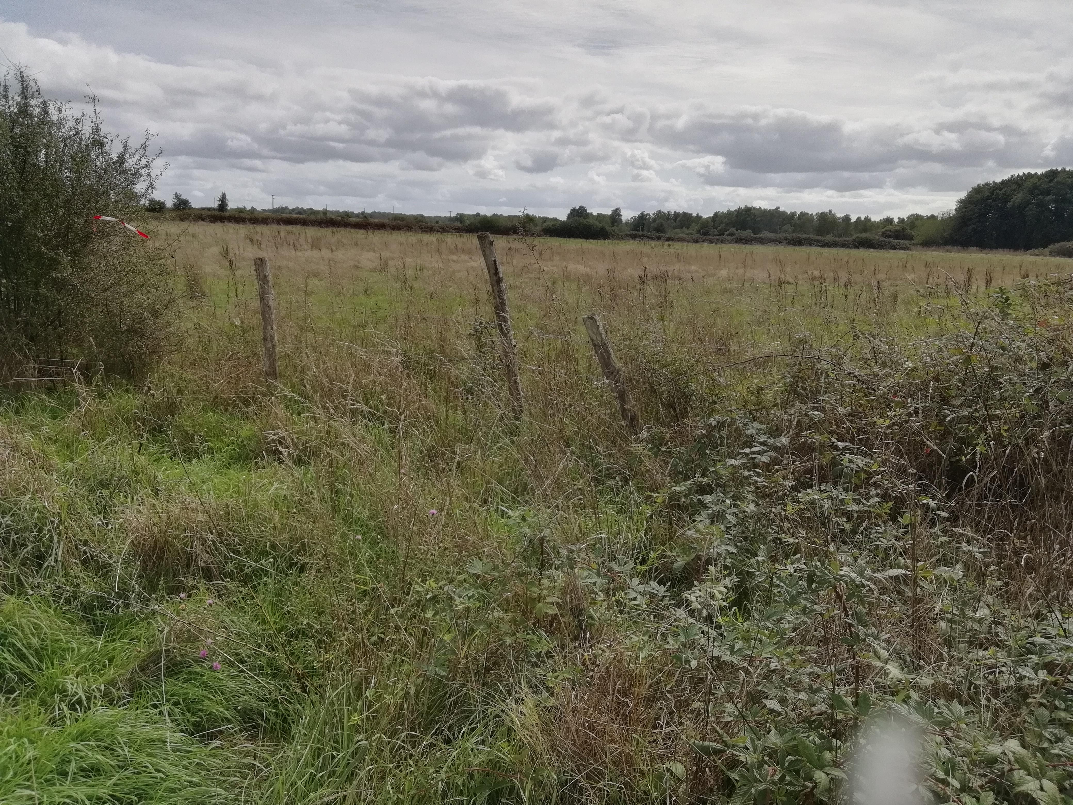 Chantier participatif autour des haies de Hiesse