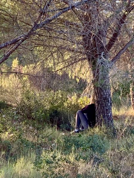 CONNEXION AUX ARBRES