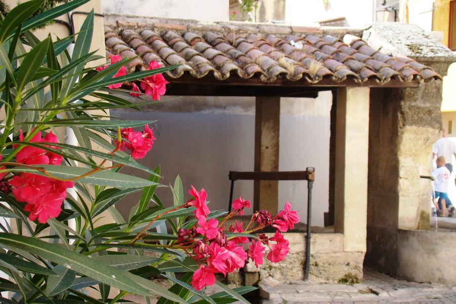Le lavoir Saint-Jacques