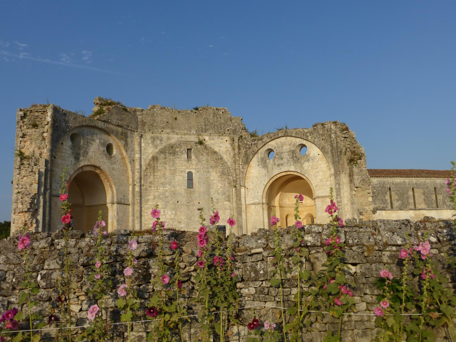 Balade nature : Découverte du patrimoine naturel autour de l'Abbaye de Trizay