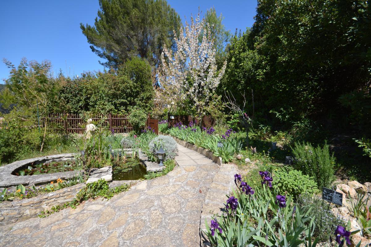 Les Oiseaux, Ceyreste - photo 14