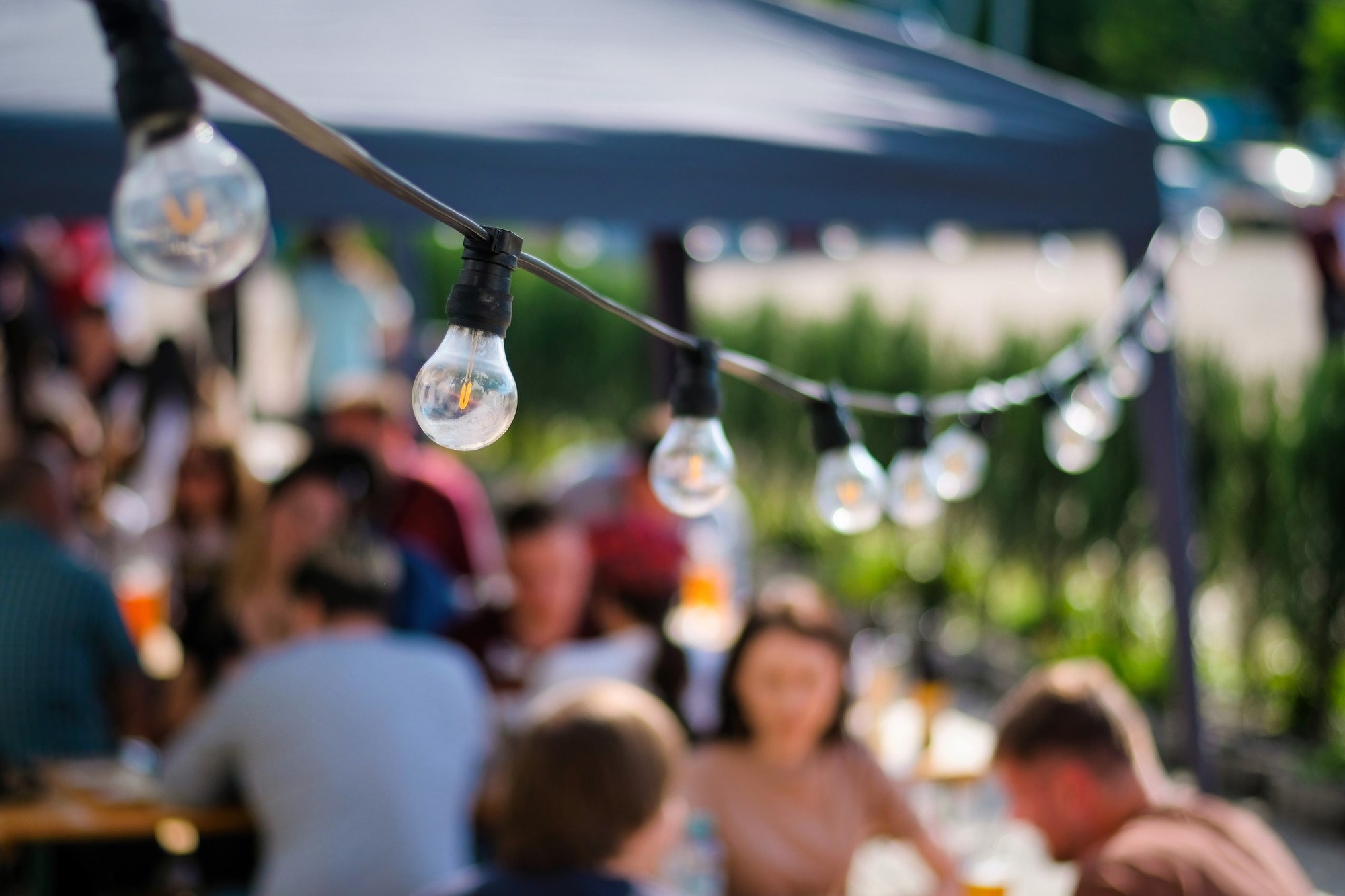 74ème fête de l'Oiseau_Saint-Genis-Pouilly