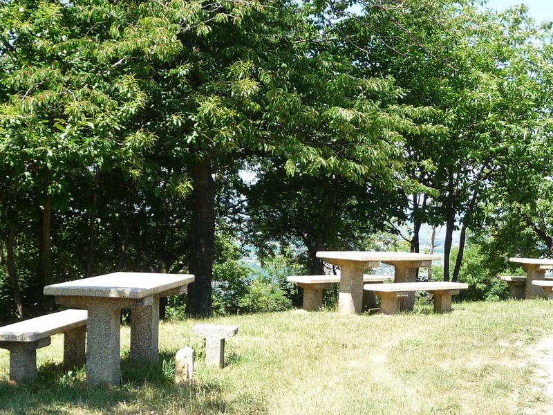 Aire de pique-nique