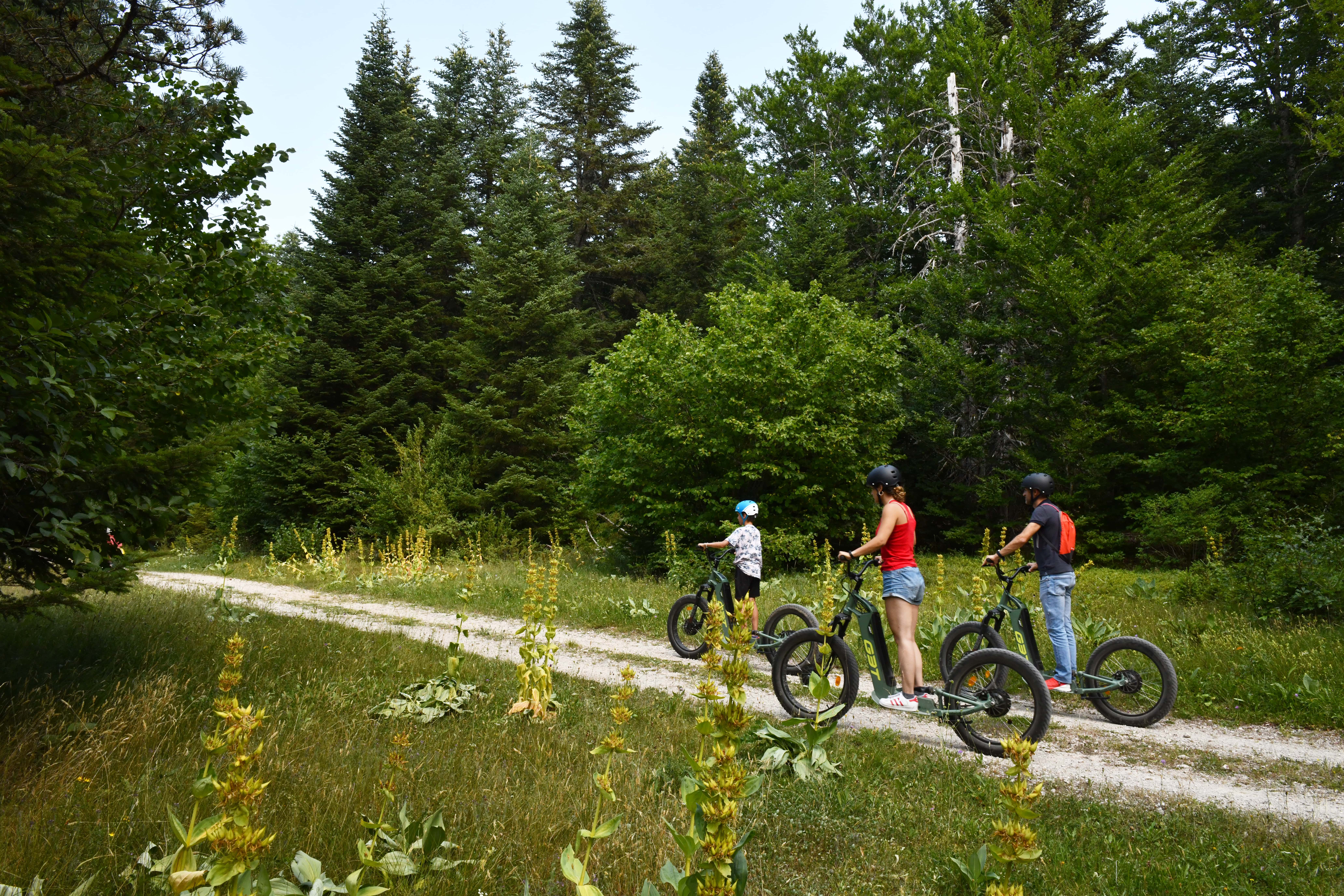 Trottinettes électriques
