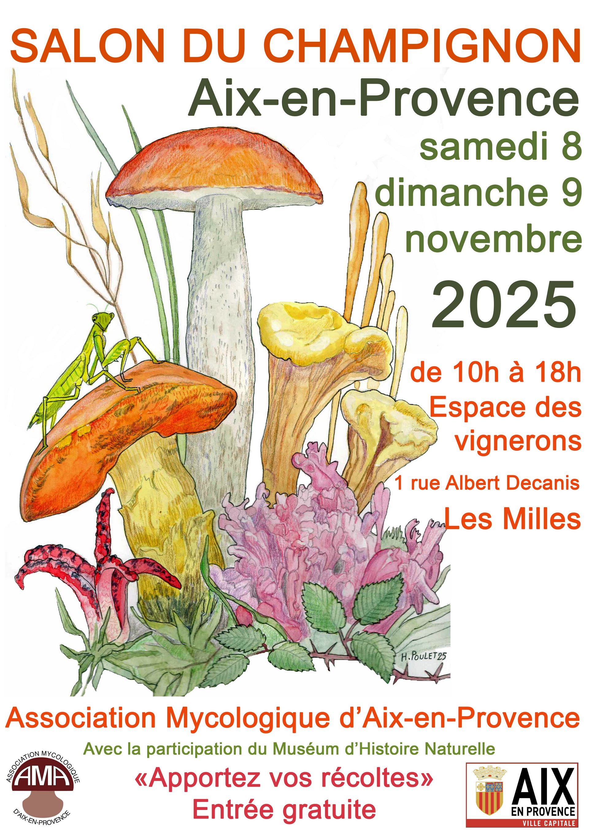 Salon du champignon, Aix-en-Provence - photo 2