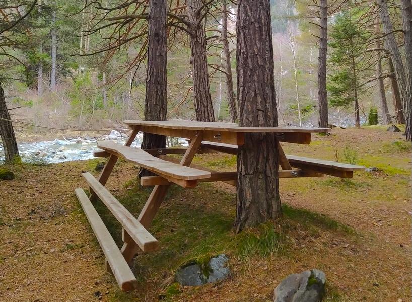 Table de pique-nique en bois encastrée autour d'un arbre Table de pique-nique en bois encastrée autour d'un arbre
