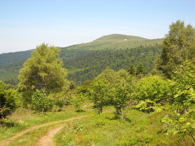 Balade de Prabouré, le Gros Rocher