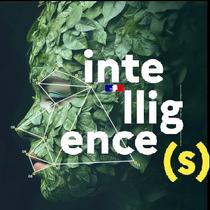 Exposition "Les plantes ont du génie"_Allemond