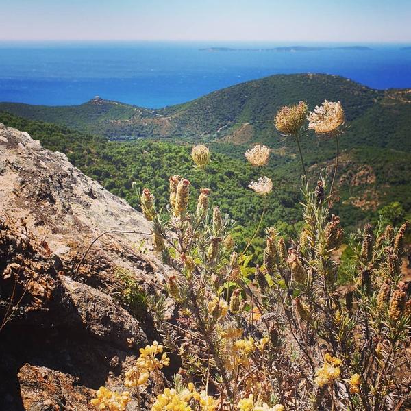 Balade conférence "Les Maures, une Provence originale"_Cavalaire-sur-Mer