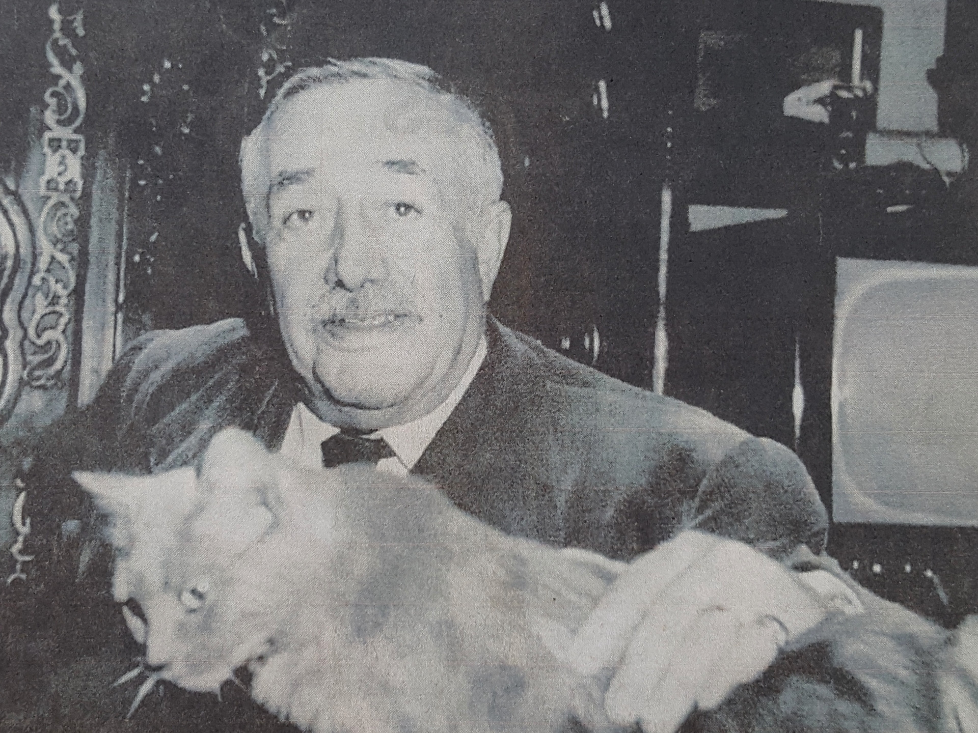 Domaine Cassis Bodin - photo 2