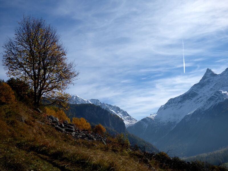 Sentier des noisettes