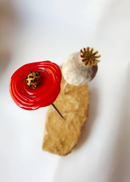 Nature sauvage des Pierres Dorées