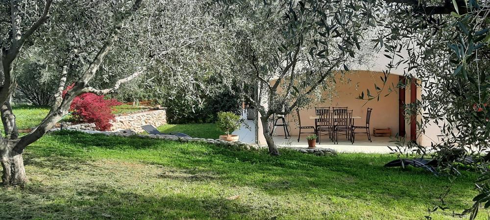 Extérieurs Gîte de la Colline - Olivier labellisé Gîtes de France Alpes-Maritimes à St Blaise