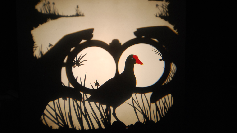 Volatile Ombré - Saison culturelle de Fleurance_Fleurance