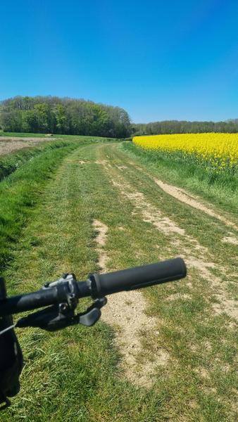 Liaison VTT (L6) St Trivier de Courtes - Plan d'eau de Mépillat_Saint-Trivier-de-Courtes