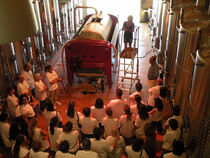Clos des Roses