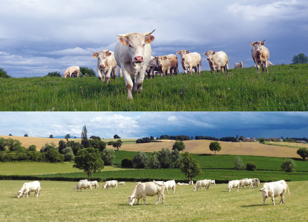La Ferme Farjaud