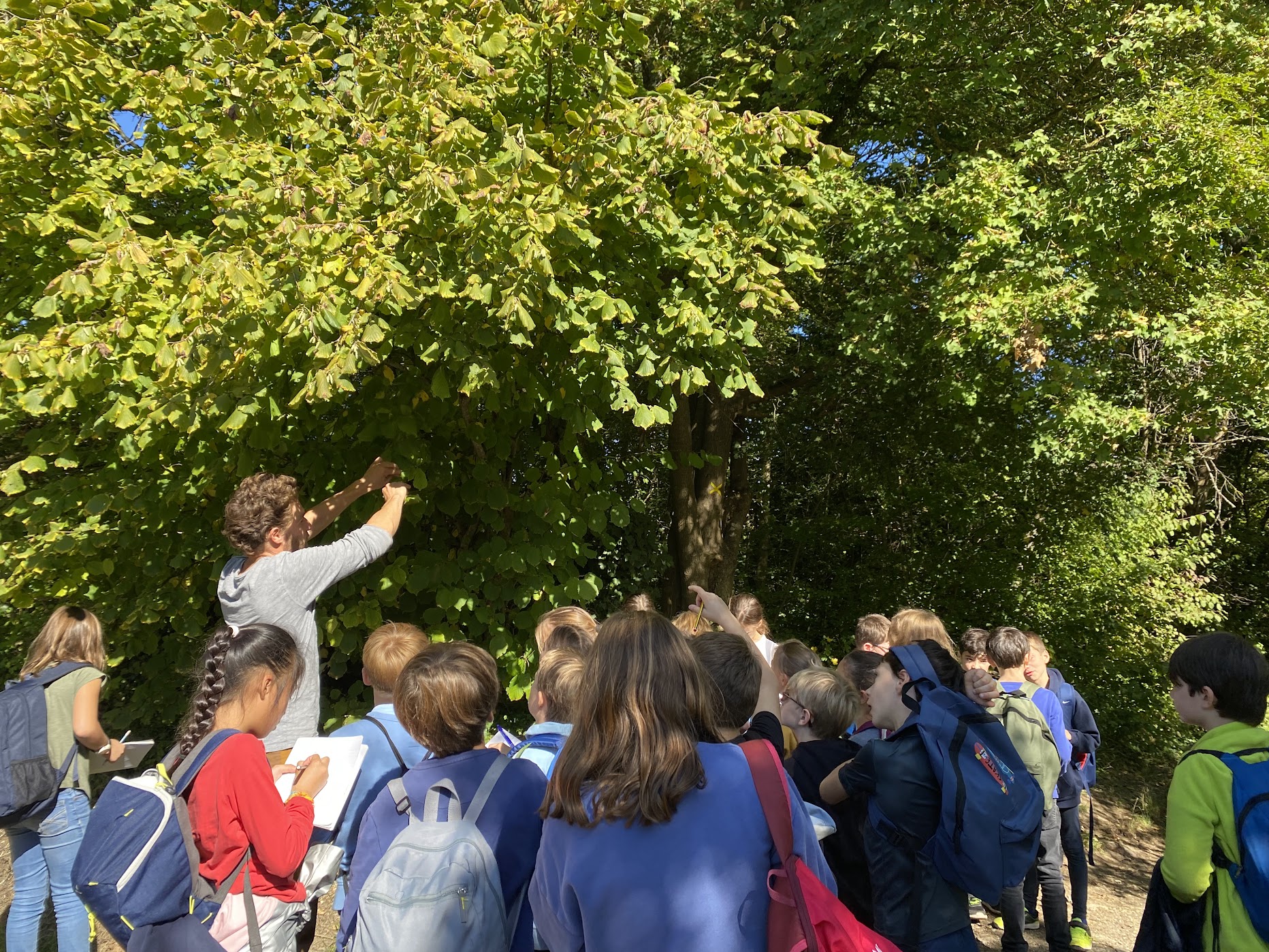 Le Temps des Savoir-faire