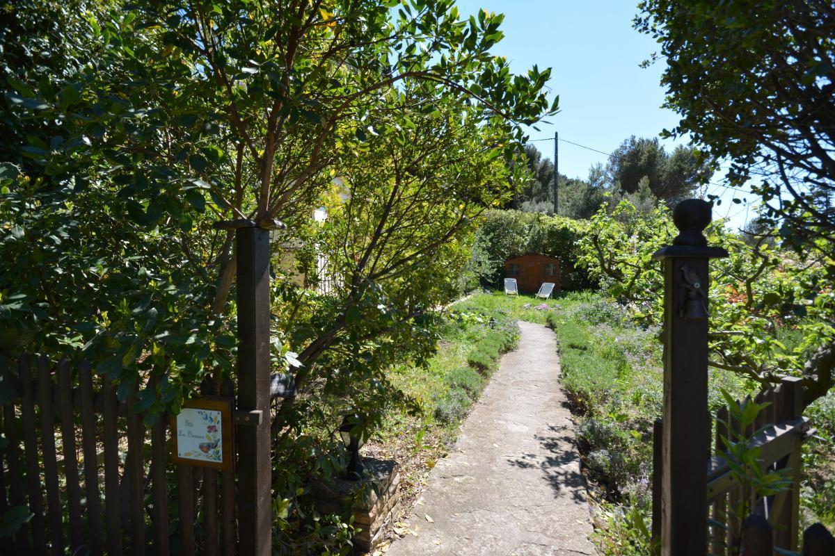 Les Oiseaux, Ceyreste - photo 6