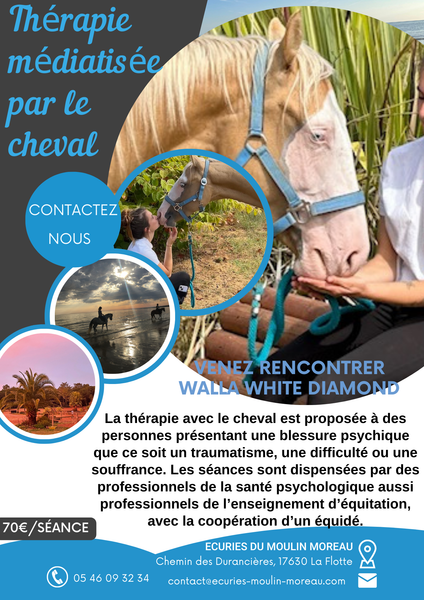 Thérapie médiatisée par le cheval par les écuries du Moulin Moreau