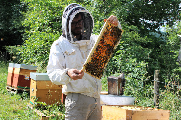 Balade à la ferme autour de la miellerie de la Comté